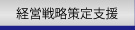 経営戦略策定支援